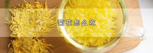 菊花怎么吃