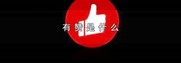 有赞是什么