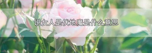 说女人是伏地魔是什么意思