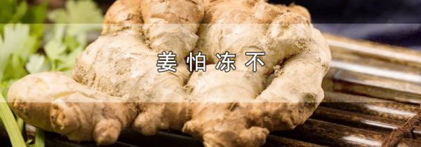 姜怕冻不