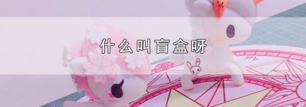 什么叫盲盒呀