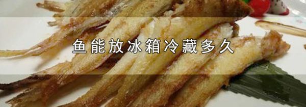 鱼能放冰箱冷藏多久