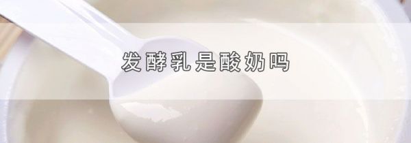 发酵乳是酸奶吗
