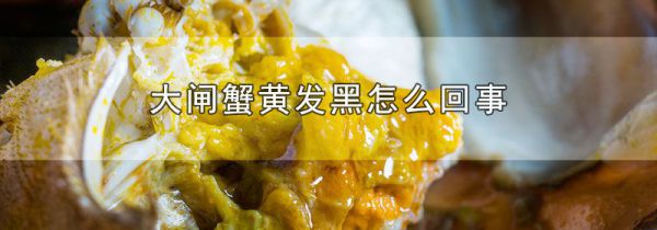 大闸蟹黄发黑怎么回事