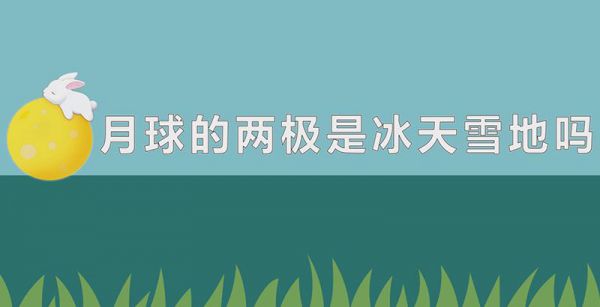 月球的两极是冰天雪地吗