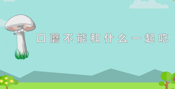 口蘑不能和什么一起吃