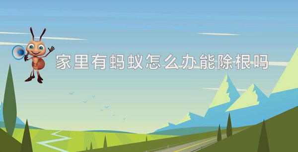家里有蚂蚁怎么办能除根吗