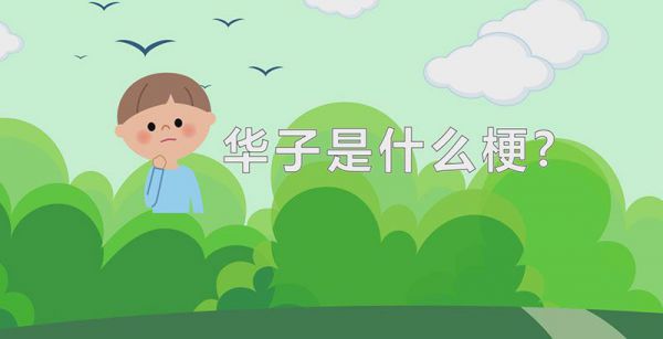 华子是什么梗?