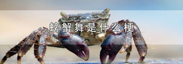 螃蟹舞是什么梗