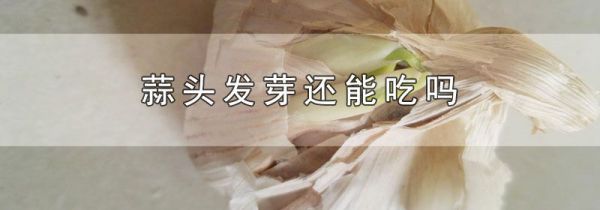 蒜头发芽还能吃吗