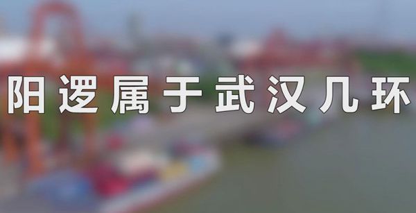 阳逻属于武汉几环