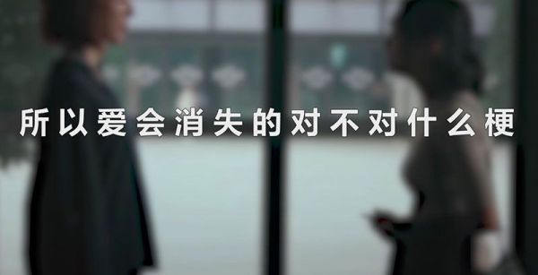 所以爱会消失的对不对什么梗