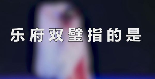 乐府双璧指的是