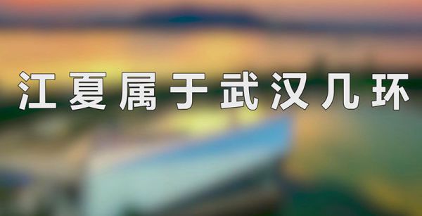 江夏属于武汉几环