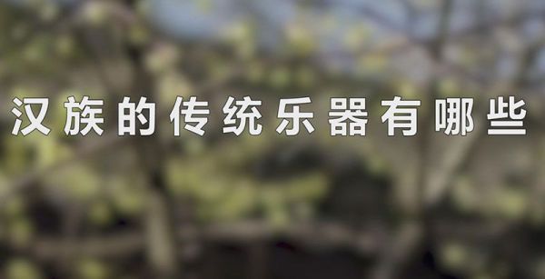 汉族的传统乐器有哪些