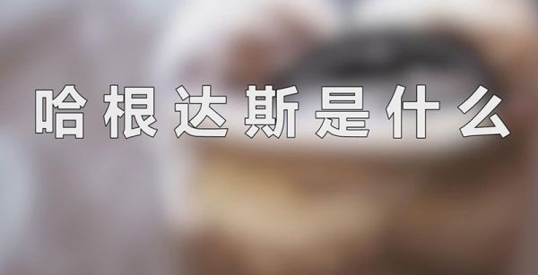 哈根达斯是什么