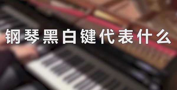 钢琴黑白键代表什么