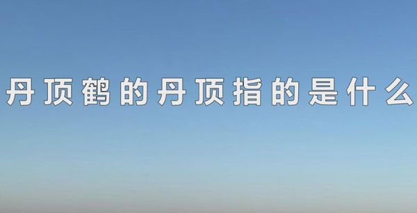 丹顶鹤的丹顶指的是什么