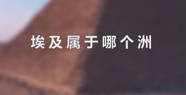 埃及属于哪个洲