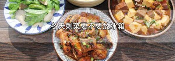 冬天剩菜要不要放冰箱