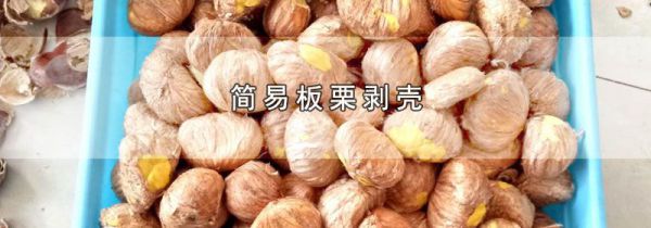 简易板栗剥壳