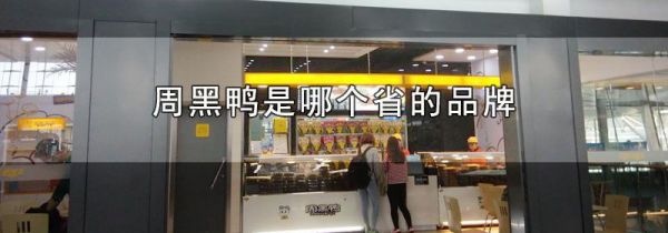 周黑鸭是哪个省的品牌