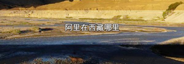 阿里在西藏哪里