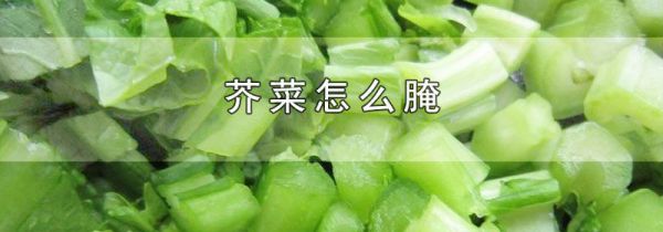 芥菜怎么腌