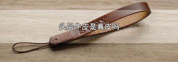 头层牛皮是真皮吗