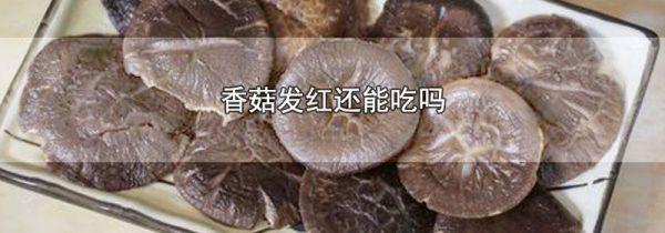 香菇发红还能吃吗