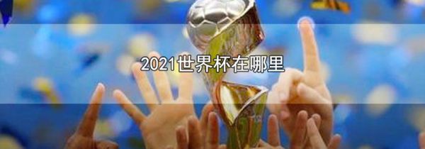 2021世界杯在哪里