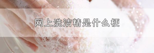 网上洗洁精是什么梗