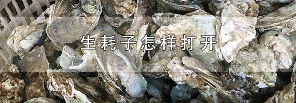 生耗子怎样打开