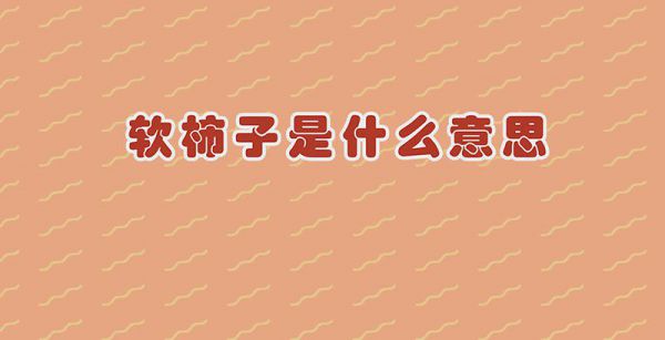 软柿子是什么意思