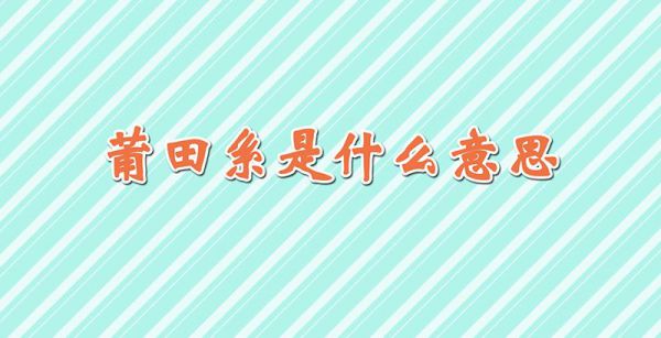 莆田系是什么意思