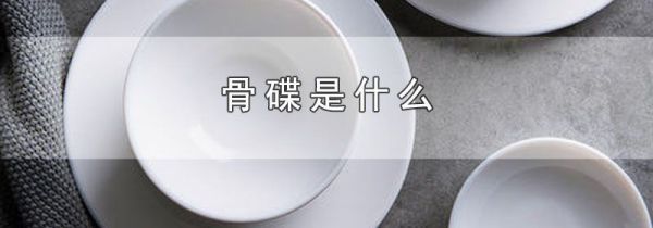 骨碟是什么