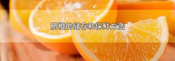 脐橙的储存和保鲜方法