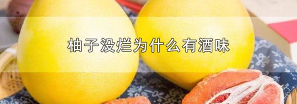 柚子没烂为什么有酒味