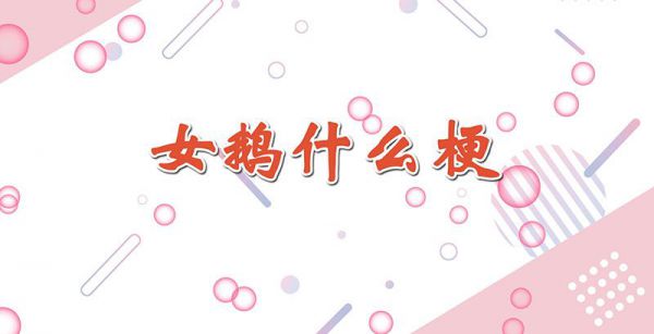 女鹅什么梗
