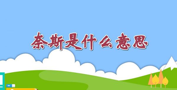 奈斯是什么意思