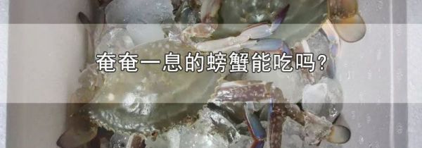 奄奄一息的螃蟹能吃吗?