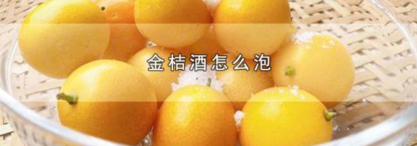 金桔酒怎么泡