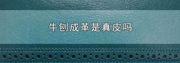 牛刨成革是真皮吗