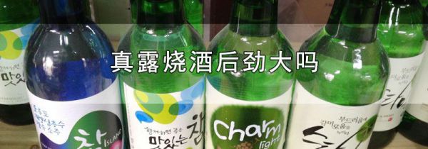 真露烧酒后劲大吗