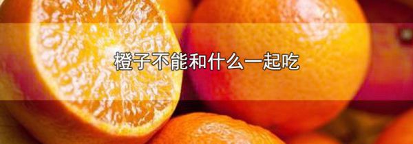 橙子不能和什么一起吃