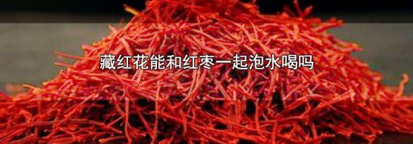 藏红花能和红枣一起泡水喝吗