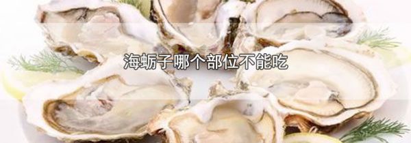 海蛎子哪个部位不能吃