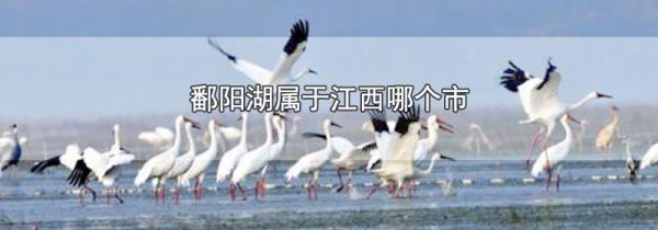 鄱阳湖属于江西哪个市