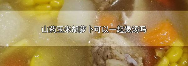 山药玉米胡萝卜可以一起煲汤吗
