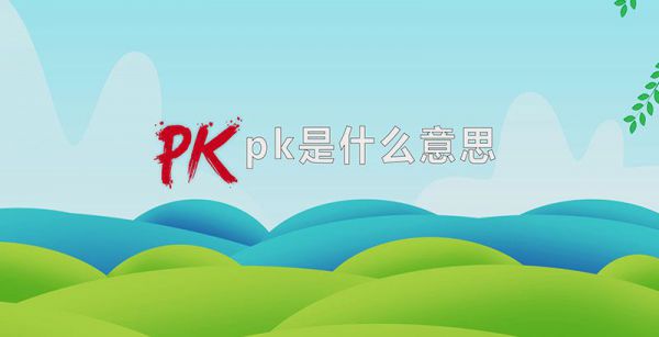pk是什么意思